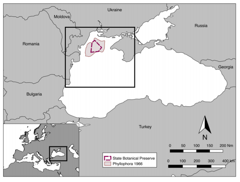 EurOBIS_VLIZ's tweet photo. #NewDataset
- 70+ occurrences from the #BlackSea
- 29 #zooplankton #taxa
- abundance, biometrics & environmental #FAIRdata in #EventCore
-- available via https://t.co/5VMS4KUvoK
📷: 10.3389/fmars.2019.00474
@jmeesvliz @EMODnet #Biology @LifeWatchVLIZ @OBISNetwork #plankton https://t.co/syJp9XboPi