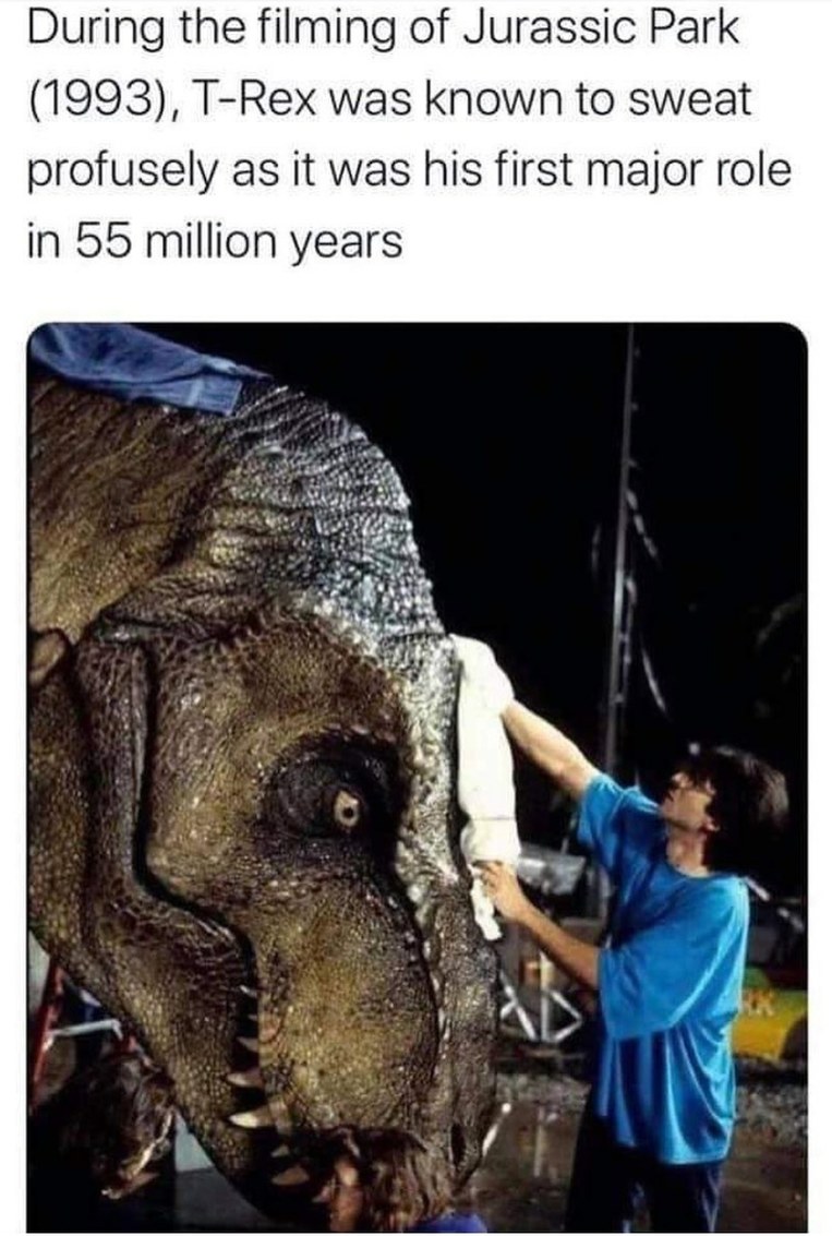 ScreenJawns's tweet image. Jurassic park episode coming out next week! 🦖🦕
screenjawnspodcast.com/listen

#screenjawns #jurassicpark #jurassicworld #jurassicparkbooks #podcast #moviepodcast #johnhammond #jeffgoldblum #lauradern #samneill #chrispratt #brycedallashoward