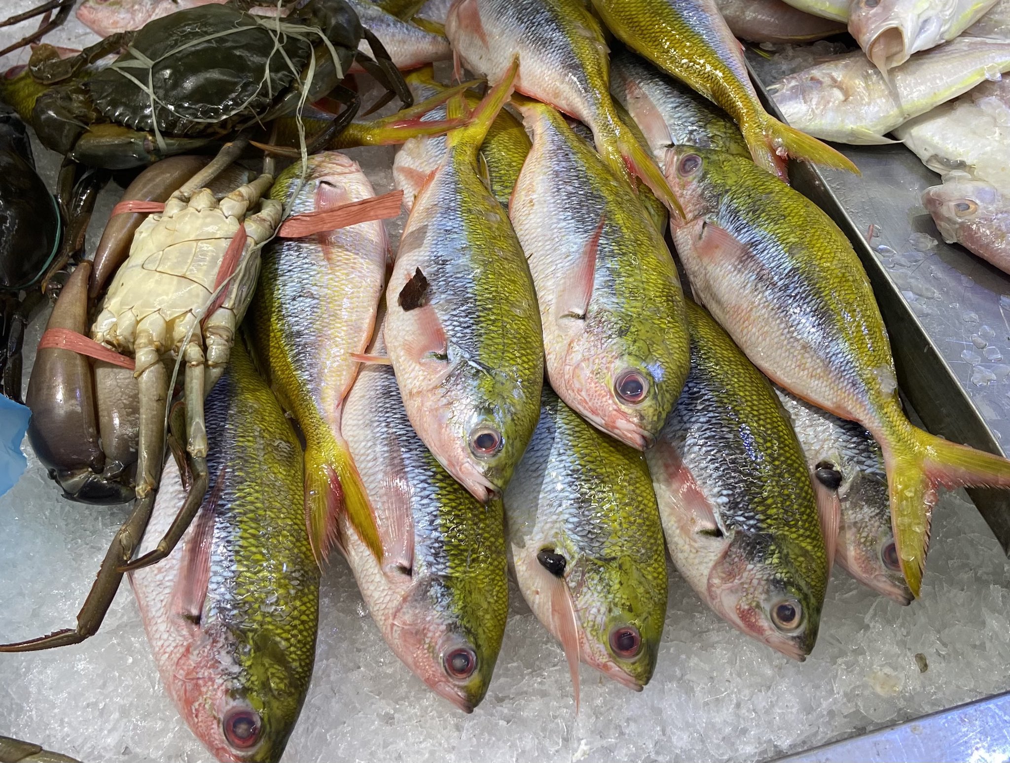 Mony In Bolehland 国際結婚カップルの海外生活 マレーシアのスーパーで売られていた魚で マレー語の名前は Tauhu Jepun 豆腐日本 と言うみたいですが 何の魚か 日本語名 似てる魚等 わかる方いらっしゃいますでしょうか 魚種 魚の名前