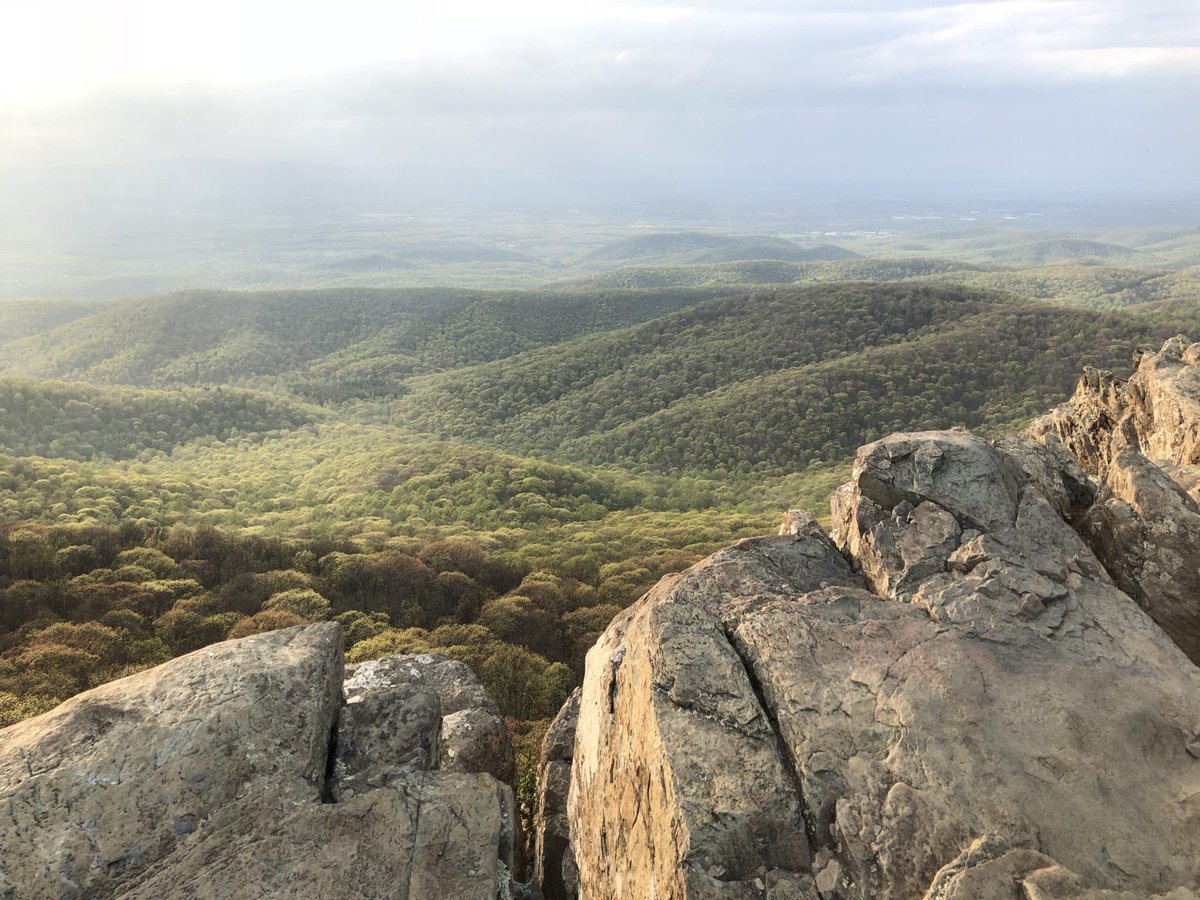 Ajay Limaye (@ajaybrianlimaye) on Twitter photo Looking for a hands-on postdoc project? Come spin up new lab experiments on river dynamics in a beautiful place <a href="/uvaevsc/">UVa EnviSci</a> Feel free to DM me with questions. Apply here: bit.ly/3klRAnp Looking for a hands-on postdoc project? Come spin up new lab experiments on river dynamics in a beautiful place <a href="/uvaevsc/">UVa EnviSci</a> Feel free to DM me with questions. Apply here: bit.ly/3klRAnp