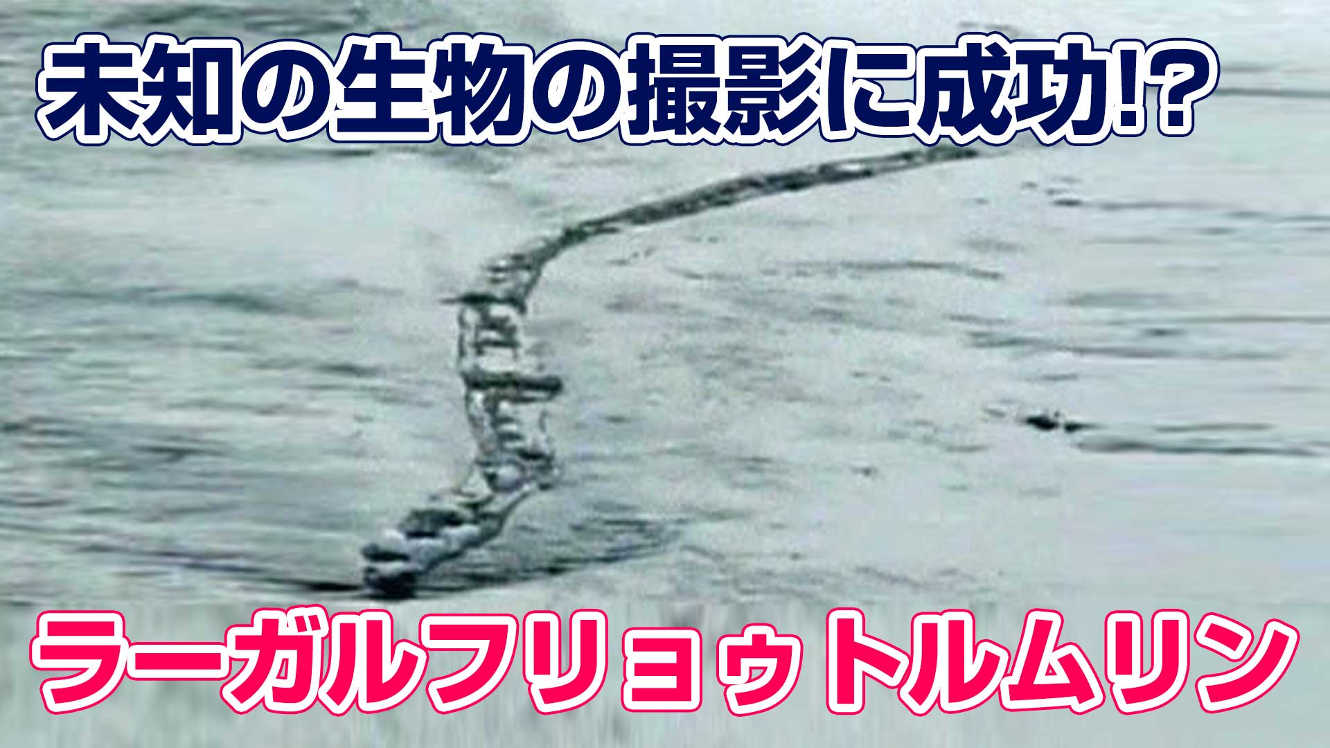 中沢健 作家 ｕｍａ研究家 中沢健のuma オカルトチャンネル 最新回 世界中でumaの撮影に成功 ラーガルフリョゥトルムリンと日本のモンゴリアン デス ワーム を公開しました 今回は アイスランド 中国 日本で撮影された同種の