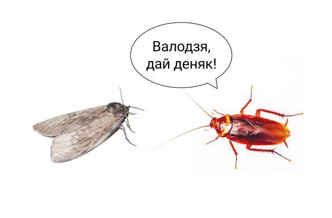 Помощь России поможет противостоять любым западным санкциям, - премьер Беларуси Головченко - Цензор.НЕТ 5556