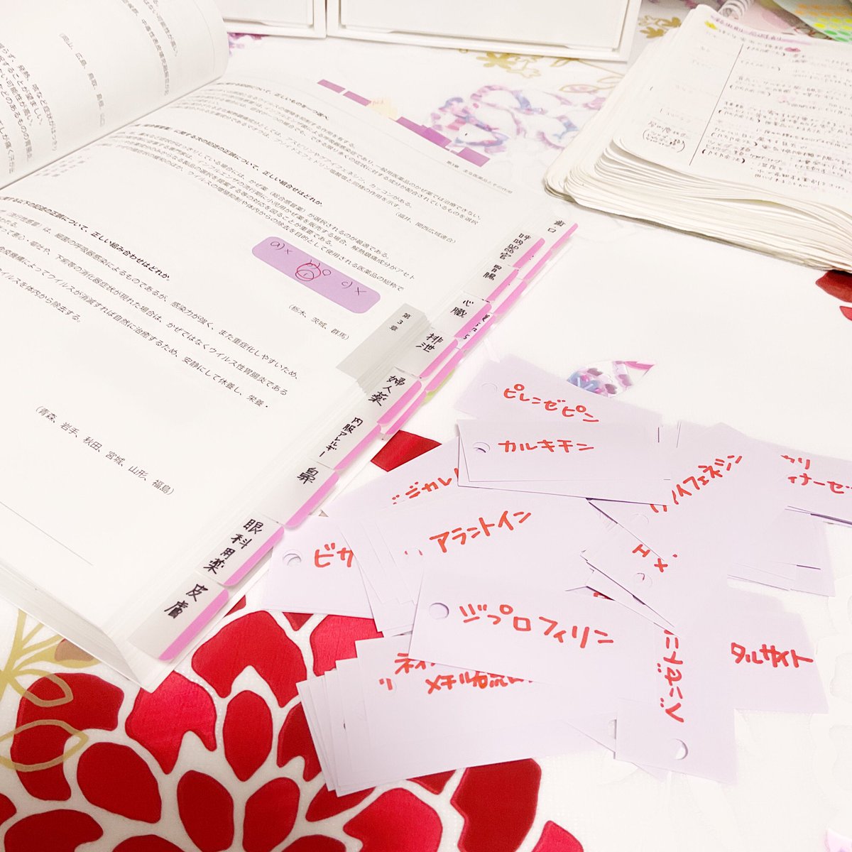 登録販売者試験勉強 登録販売者試験勉強