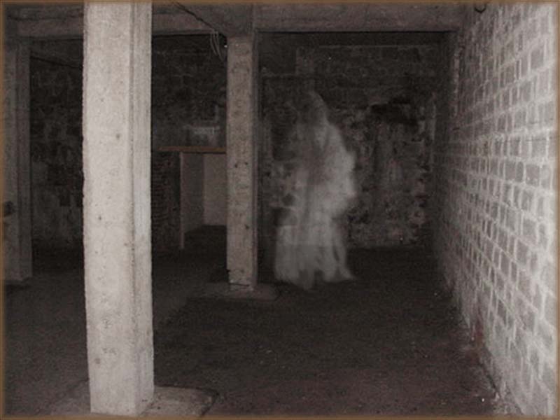 Uçurum manzaralı odalarımızdan birini isteyen sayın misafirimiz <a href="/justpozan/">Pozan</a> şakacı goblinlerimizden biri yüzünden şarap ambarımıza yönlendirilmiş. Ambardaki üzgün hayaletimiz kendisini odasına yönlendirmiştir. Goblinlerimiz mizaçları gereği yanıltıcıdır, itibar etmeyiniz.