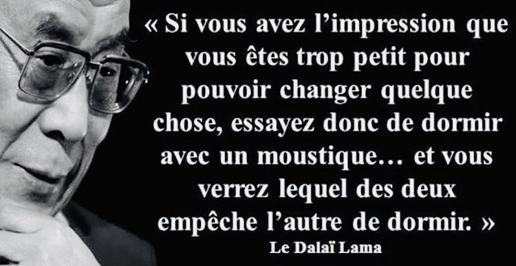 🦟 Exactement !!