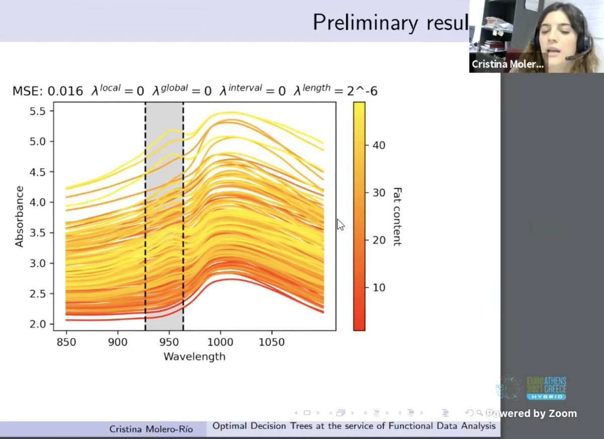DoloresRomeroM's tweet image. Our @needs_project @imus_us PhD student, Cristina Molero del Río, has talked at @euro2021Athens about #optimaltrees for #functionaldata! 
#riseneeds 
@crismolerorio   
@MSCActions
@REA_research
@emiliocarrizosa
