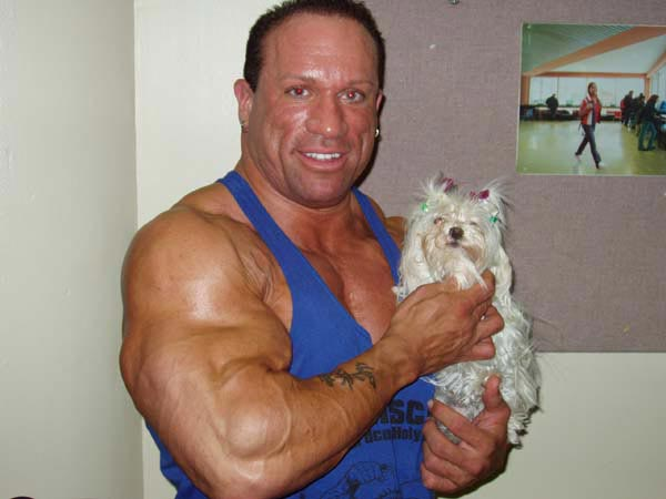 Dave Palumbo Fan Acct tweet media