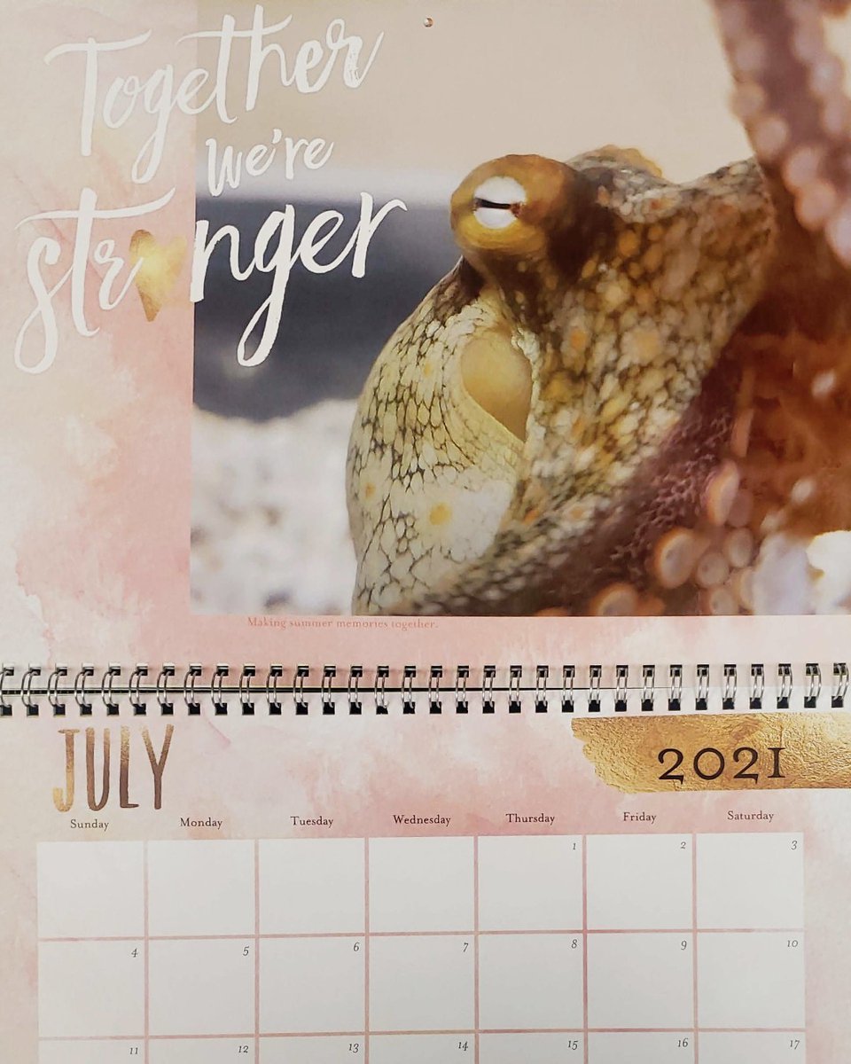 Happy July! We would like to take a moment to thank all the undergrads who help us out year round. We are truly stronger together 🐙📅