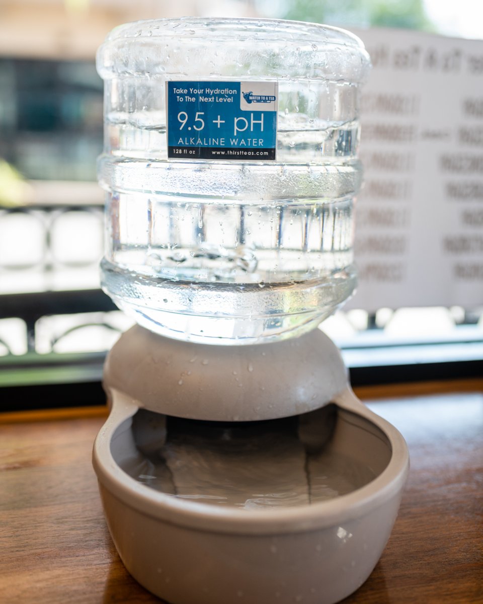 WaterToATeaFL's tweet photo. If the rest of your family enjoys our alkaline water, then your pet should too! We'll keep Fido feeling healthy and hydrated with his own personal water supply. https://t.co/uPwLIyezuT
