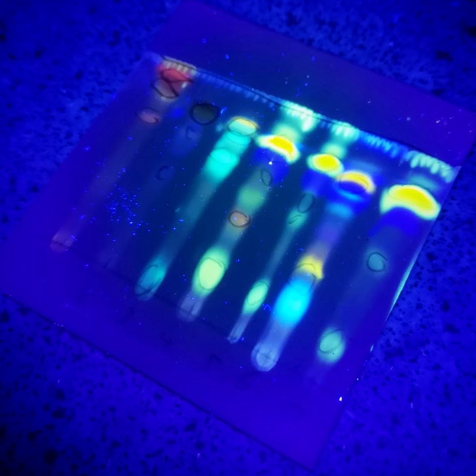 This is our future album cover contribution 🎶 🎼 🎵 <a href="/annietaylor96/">Annie Taylor</a>