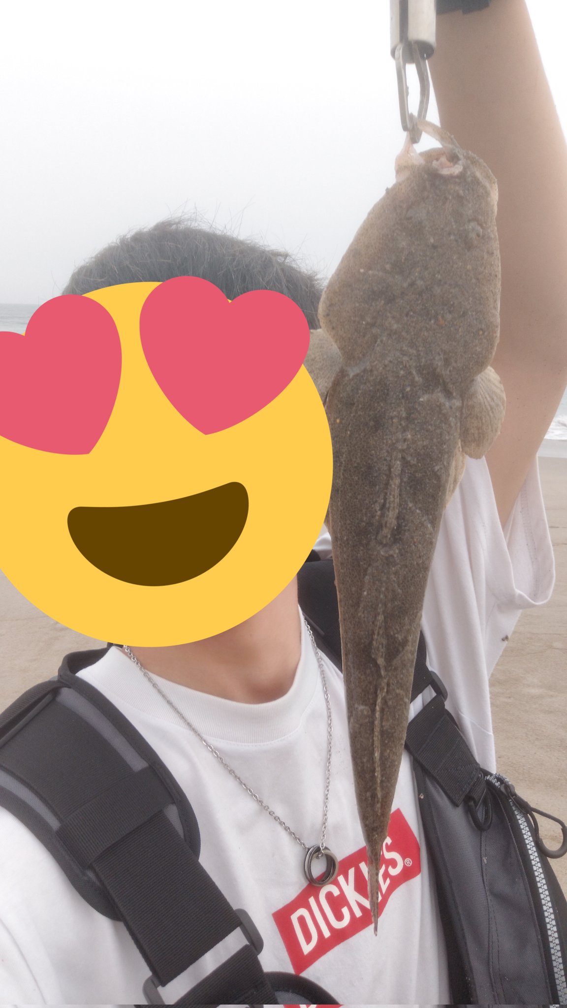 تويتر こんりょー B Z Party会員 على تويتر サーフを初めて苦節1年 坊主続きで悔しい思いばかりだったけど本日マゴチ 39cm 41cm を2匹で釣り上げられました マゴチたちは煮物 塩焼き 刺身 あら汁で美味しく頂きました 釣り 田原サーフ