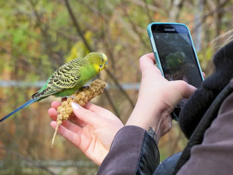 EnsedeCiencia's tweet photo. Estas apps te permiten identificar plantas y animales como si fueras un biólogo experto https://t.co/V5vTQNfcq6 https://t.co/XVRYA4Em6V