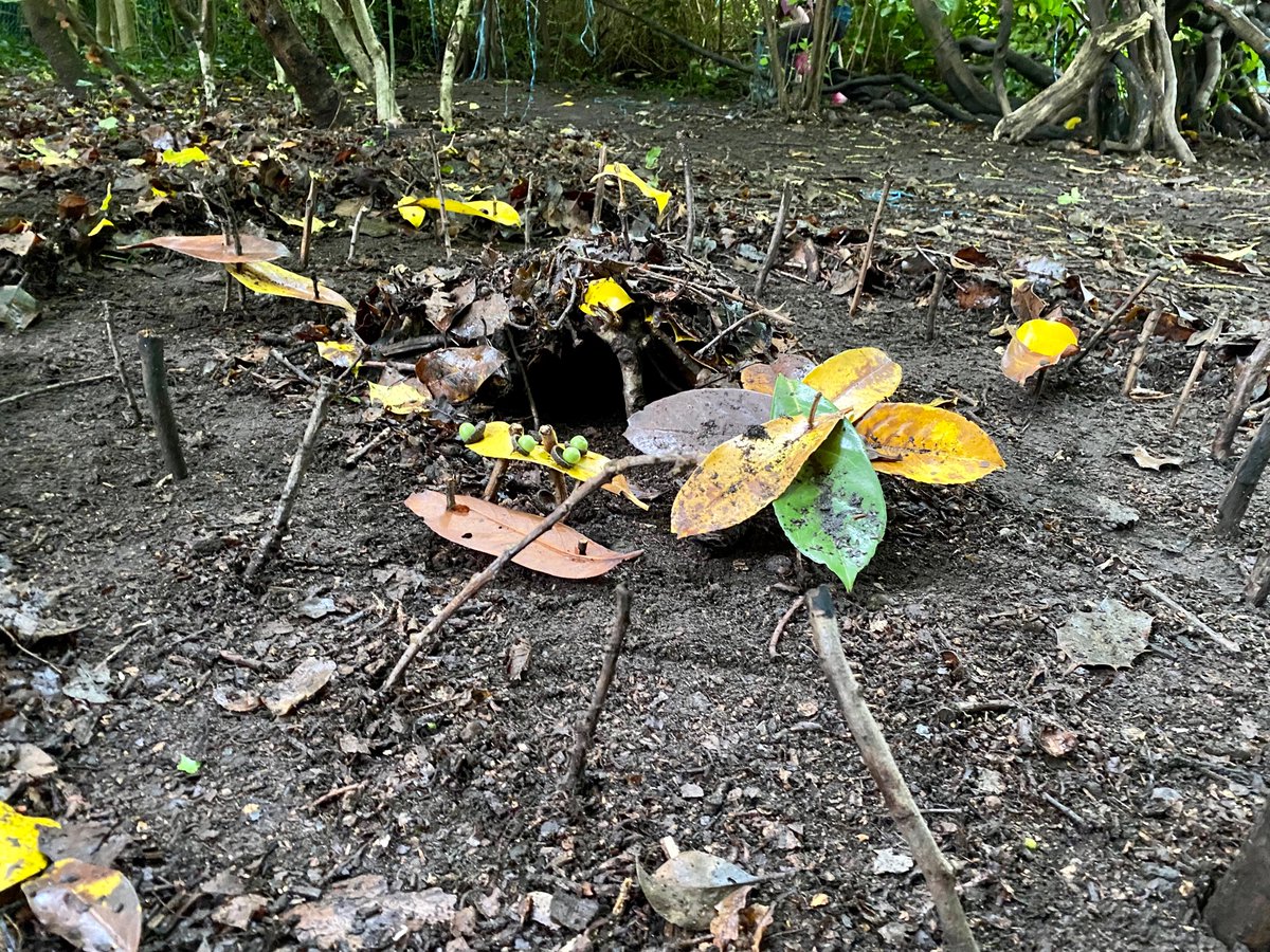 GorseyFS's tweet photo. Fairy houses built by @GorseyY3. Complete with hammock, parasol and outdoor dining area! #gorseyfs https://t.co/AqSwB2gnlY