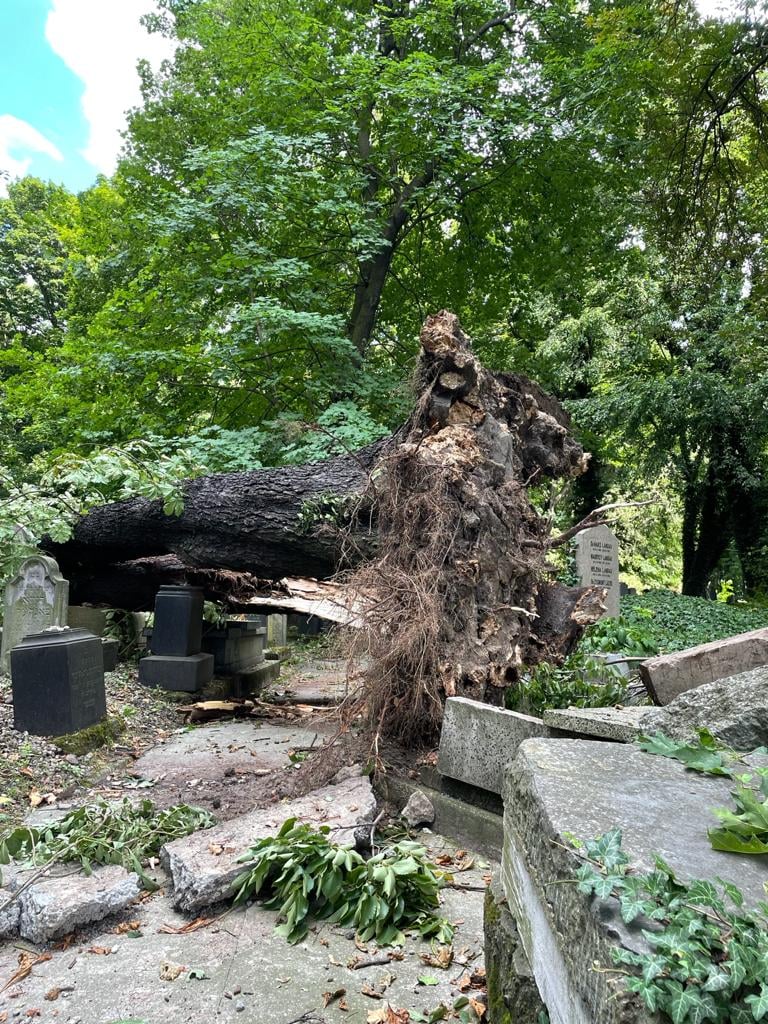 aspjchop's tweet photo. The new beis hachayim on Miodowa St. in Krakow is closed until further notice due to damages caused by the recent storm https://t.co/osJUPV8x8V https://t.co/AU9iIhmGgP