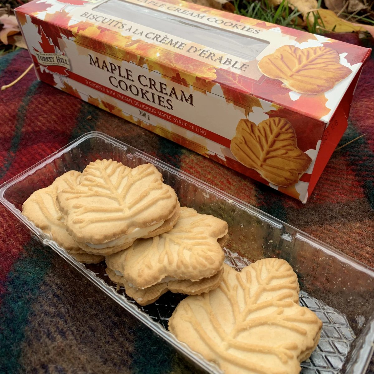 AmazonLearn's tweet image. Each time you miss Canada or look for a Canadian souvenir, just treat yourself with sweet reminder of the Great White North. Enjoy the maple syrup aroma and taste of our Canadian Maple Leaf Cookies! Find them here: amazon.co.uk/Pure-Maple-Can…

#PureMaple #Canadian #cookies #souvenir