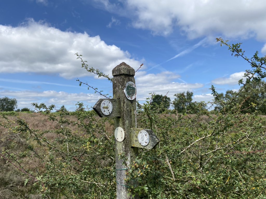 RHewlitt31 tweet media