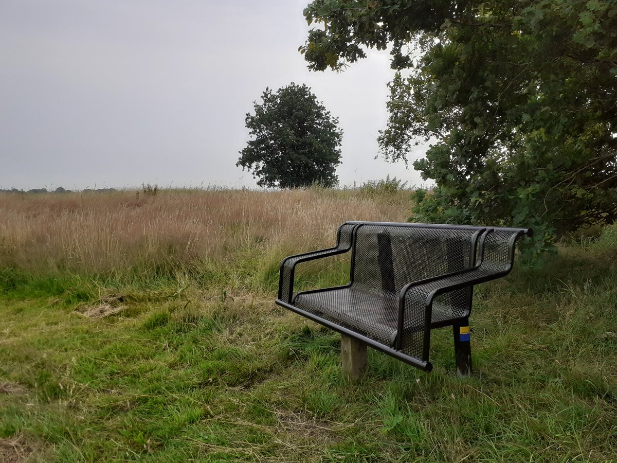 loshermanos56's tweet photo. Nog twee plaatsen vrij. Theater van de natuur bij Wedde. #Westerwoldepad #Ommetjes #Wessinghuizen https://t.co/ZiQEeRnw5N