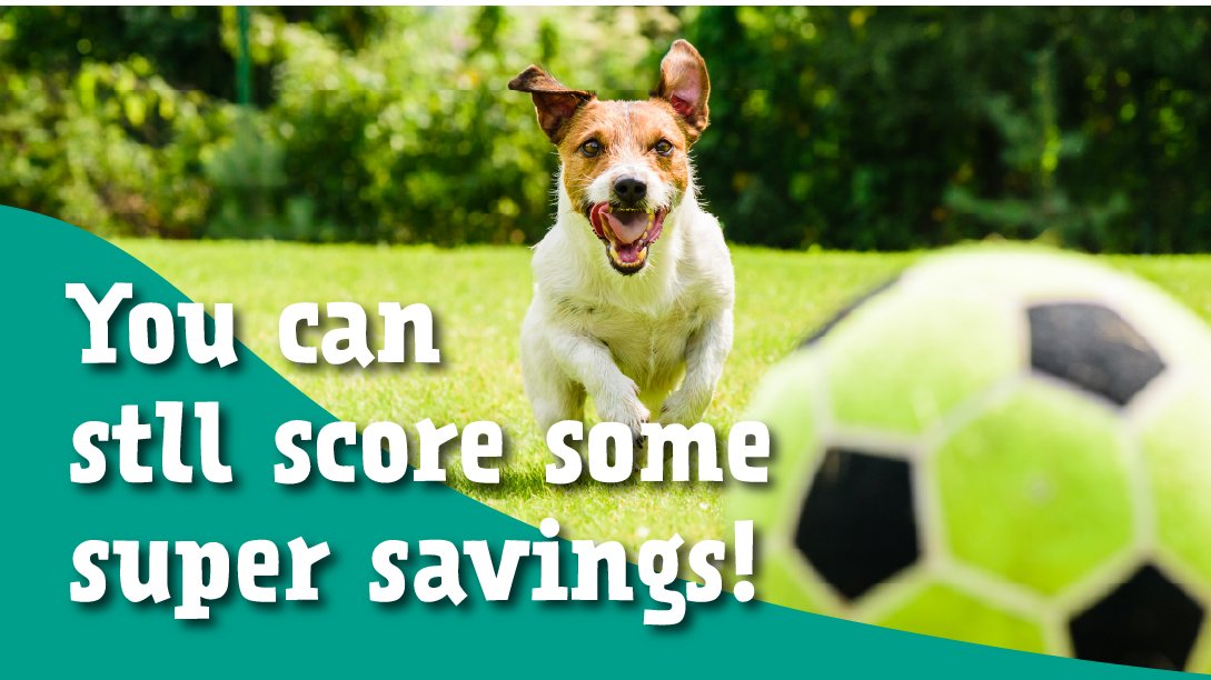 Monster Pet Supplies tweet media