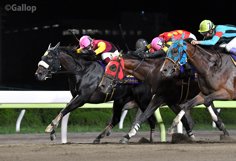 週刊gallop 3歳ダート王決定戦のジャパンダートダービーは12番人気のキャッスルトップ 船橋 が優勝 中央勢相手に果敢にハナに立つとそのまま逃げ切り勝ち 単勝万馬券の波乱を巻き起こしました 仲野光馬騎手はこの大舞台で重賞初制覇 キャッスル