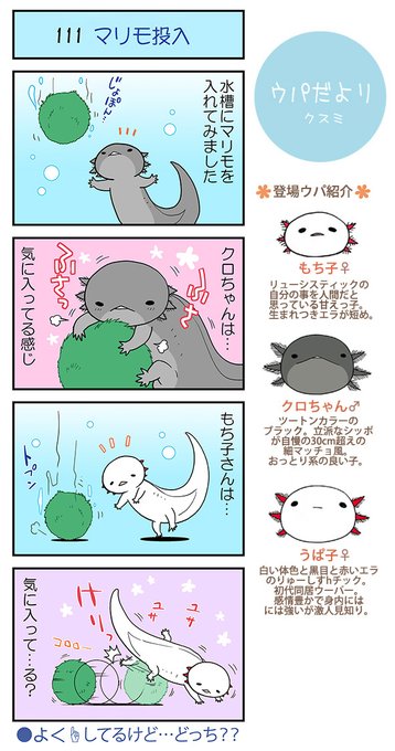 ウパだより クスミ ｳｰﾊﾟｰﾙｰﾊﾟｰ４コマ Lineスタンプ Upadayori さんのマンガ一覧 古い順 3ページ ツイコミ 仮