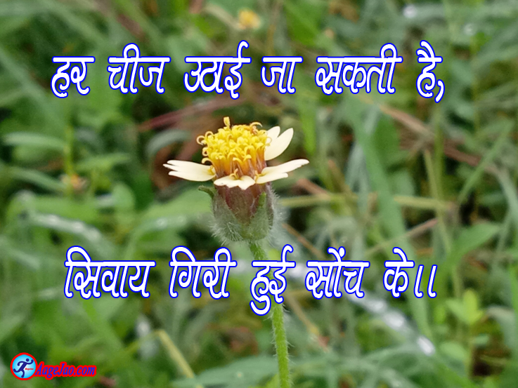 aagejao's tweet photo. https://t.co/lzX4iJ5oOn

हर चीज उठाई जा सकती है, सिवाय गिरी हुई सोच के|| https://t.co/TvI1a6wusw