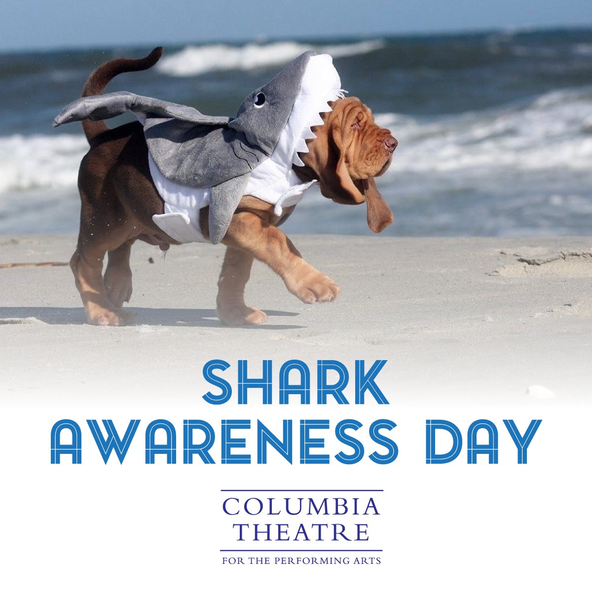 Since it's Shark Awareness Day, we want to be sure that you are aware of the sharks appearing on our stage exactly one month from now!  

Jaws will be showing on August 14th @ 7:30 PM. Do you have your tickets yet?

columbiatheatre.org