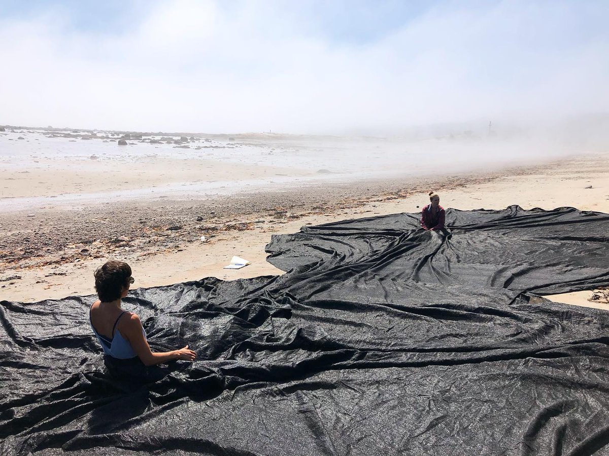 Actuellement en résidence nomade dans laquelle nous explorons la rive nord du fleuve Saint-Laurent afin d'achever l'oeuvre La Marée Noire et de repousser les limites de la danse in situ autant en matière de création que d'organisation. 🏕
Premier arrêt: Les Escoumins 🐋
#danse