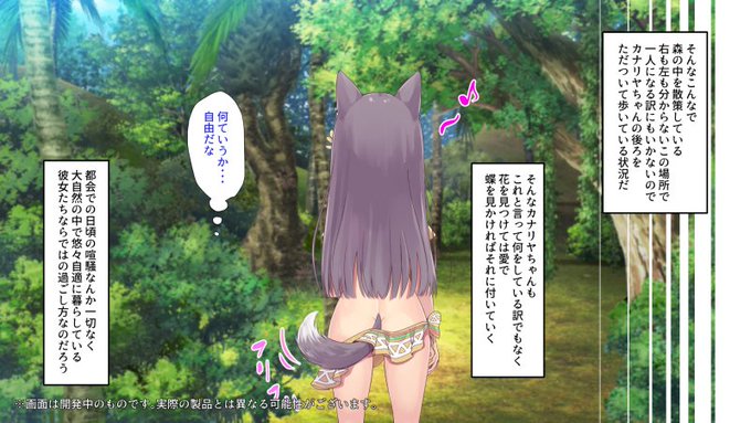 カナリヤの後ろ姿(NEW) 