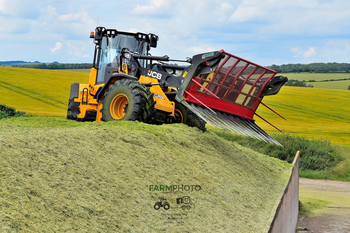 <a href="/Philip_Trim/">PhilipTrimContract</a> rye harvest in Dorset. <a href="/1DevonDumplin/">Andy Meecham</a> <a href="/RichardWestern/">Farm Trailers</a> <a href="/JCBagriculture/">JCB Agriculture</a> <a href="/JCBmachines/">JCB</a> <a href="/ValtraGlobal/">Valtra</a> <a href="/CLAAS_UK/">CLAASUK</a> <a href="/ClaasWestern/">@CLAAS_Western</a> <a href="/AlbuttLtd/">Albutt Attachments</a> <a href="/NFUCountryside/">Countryside</a> @NFUsouthwest <a href="/NFUDorset/">NFU Dorset</a> <a href="/clubhectare2211/">Uk Farmers Agri Forum</a> <a href="/smartagservices/">SmartAgServicesLtd</a>