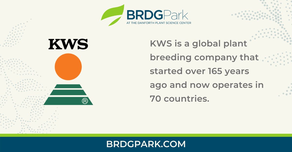 BRDG Park tweet media