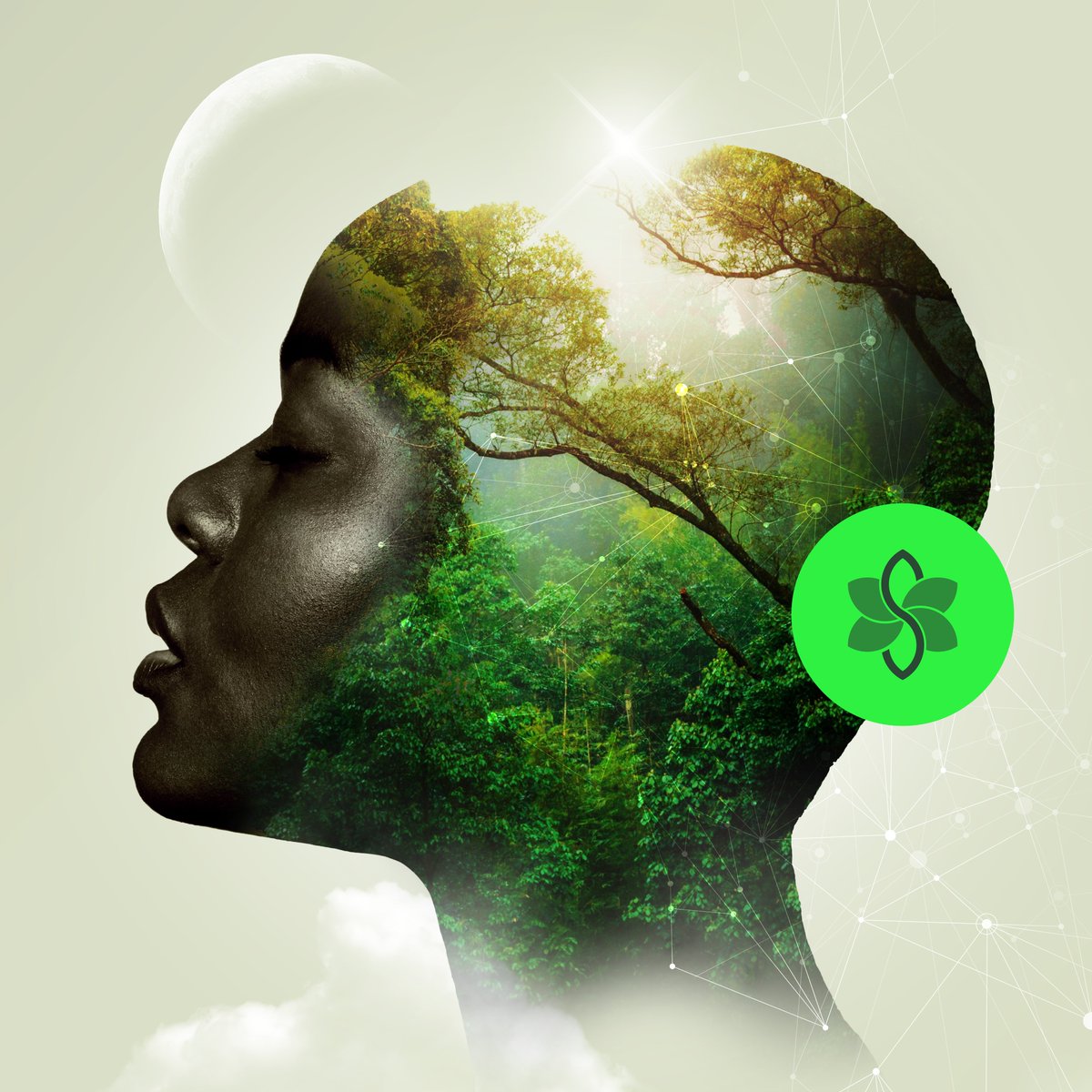 🌍 Regenerative Economies 🌍 SEEDS tweet media