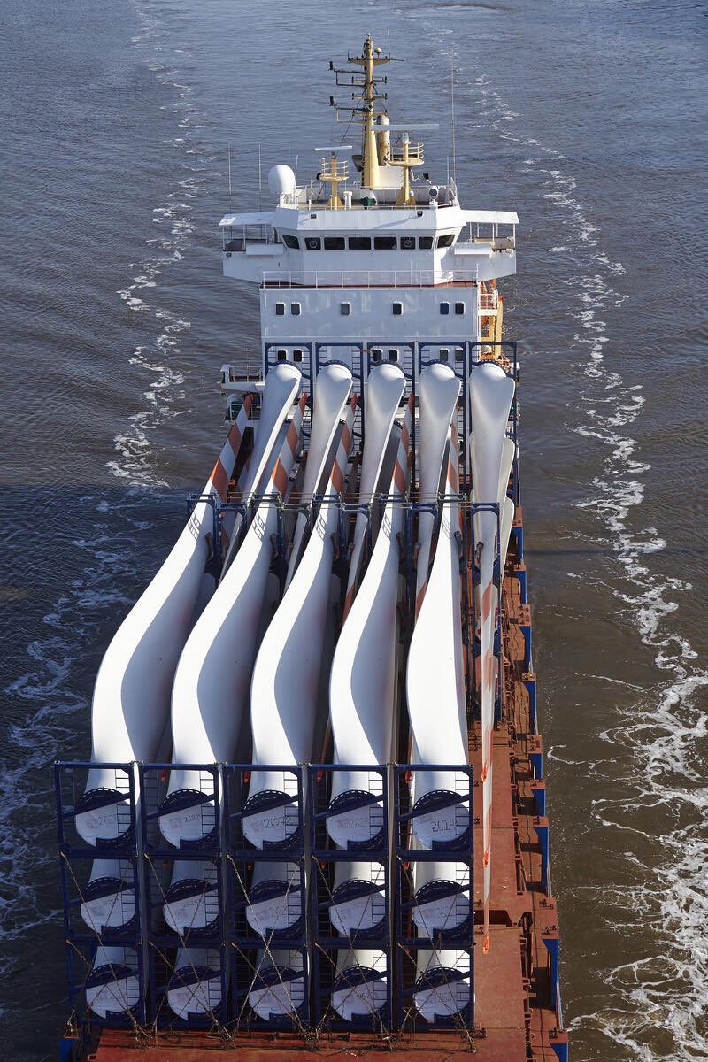 Blue Bear Capital tweet media