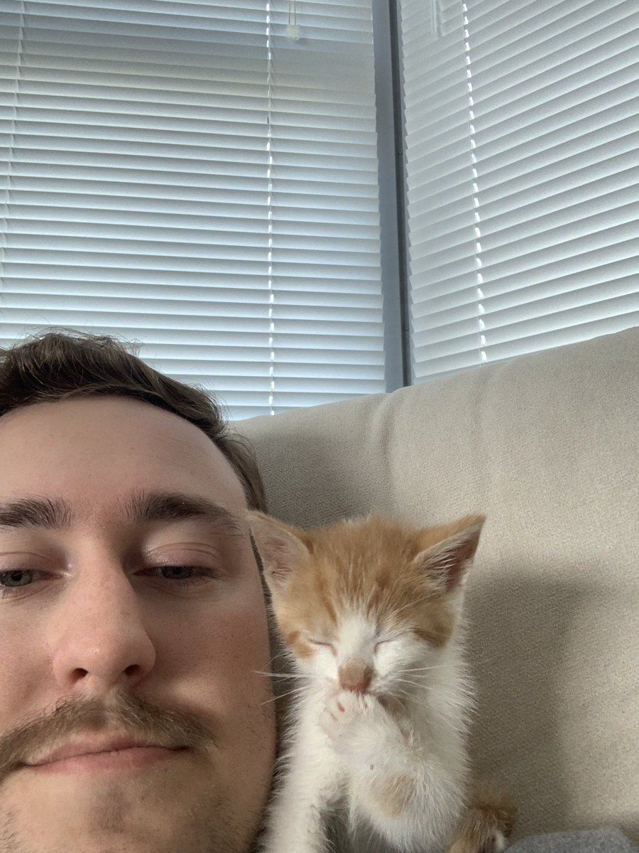 Big Tucson Dad tweet media