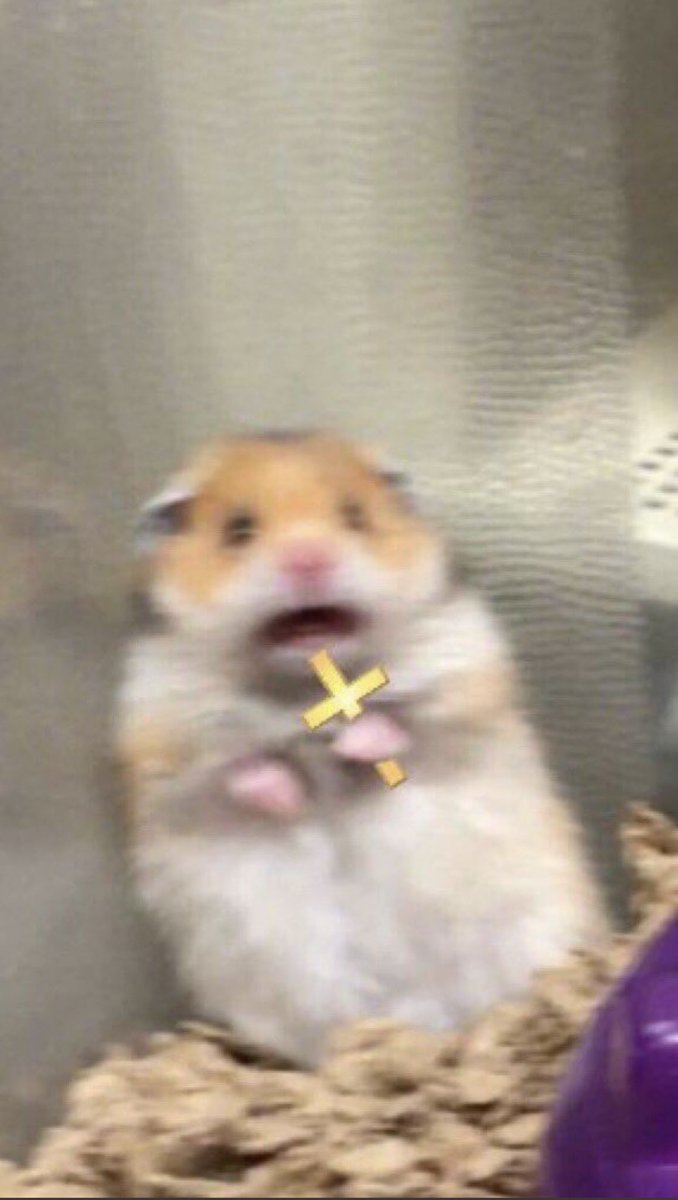 torixloki's tweet photo. #Loki spoiler!!!
-
-
-
The scene:               The fandom: https://t.co/zkhakgQFjZ