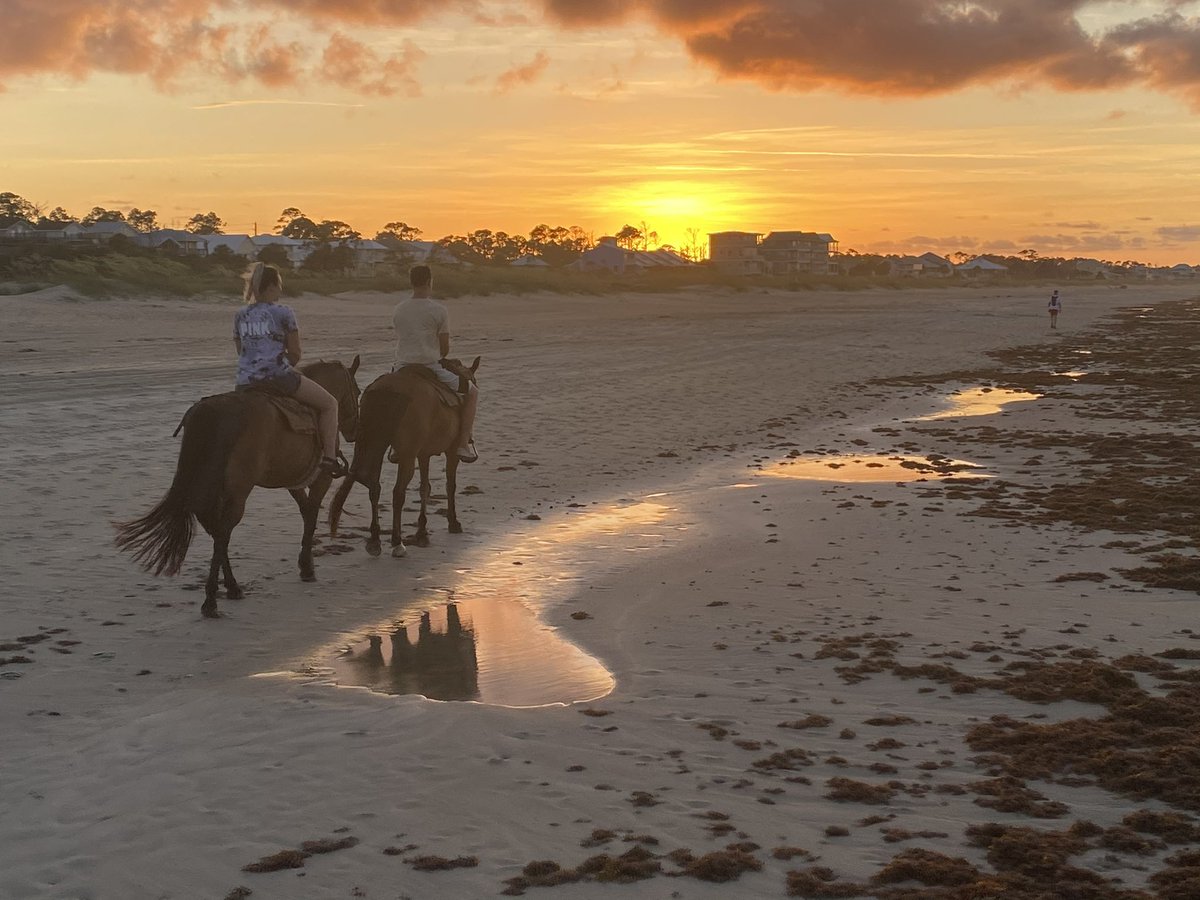 Kenzie_Shae's tweet photo. Travis surprised me with the most perfect &amp; romantic date for us! Horse back riding on the beach at sunrise 😍🌅❤️ https://t.co/dk8AHeVDih