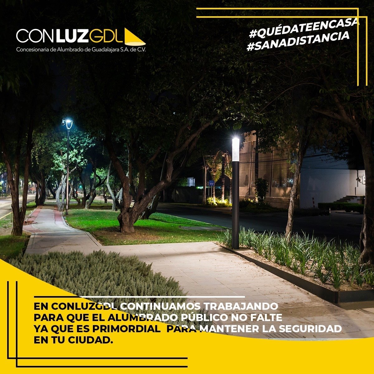 ConLuz Guadalajara tweet media