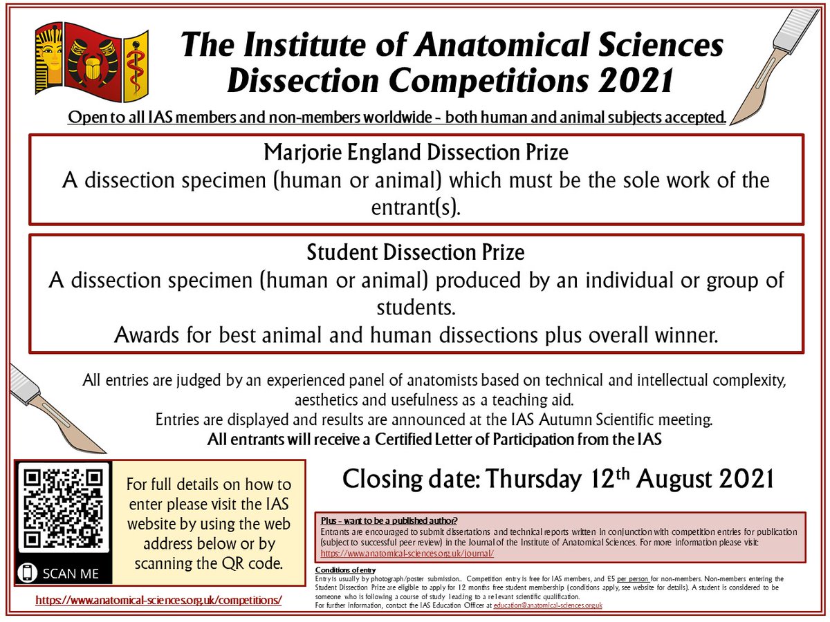 IASanatomy's tweet photo. Calling all anatomists. Show off your work by entering it into one of the IAS' dissection competition categories. All entries will be displayed and winners announced at the forthcoming Autumn Scientific Meeting. See⬇️for more info. #anatomy #dissection #prosection https://t.co/dgFnSJq1Rb