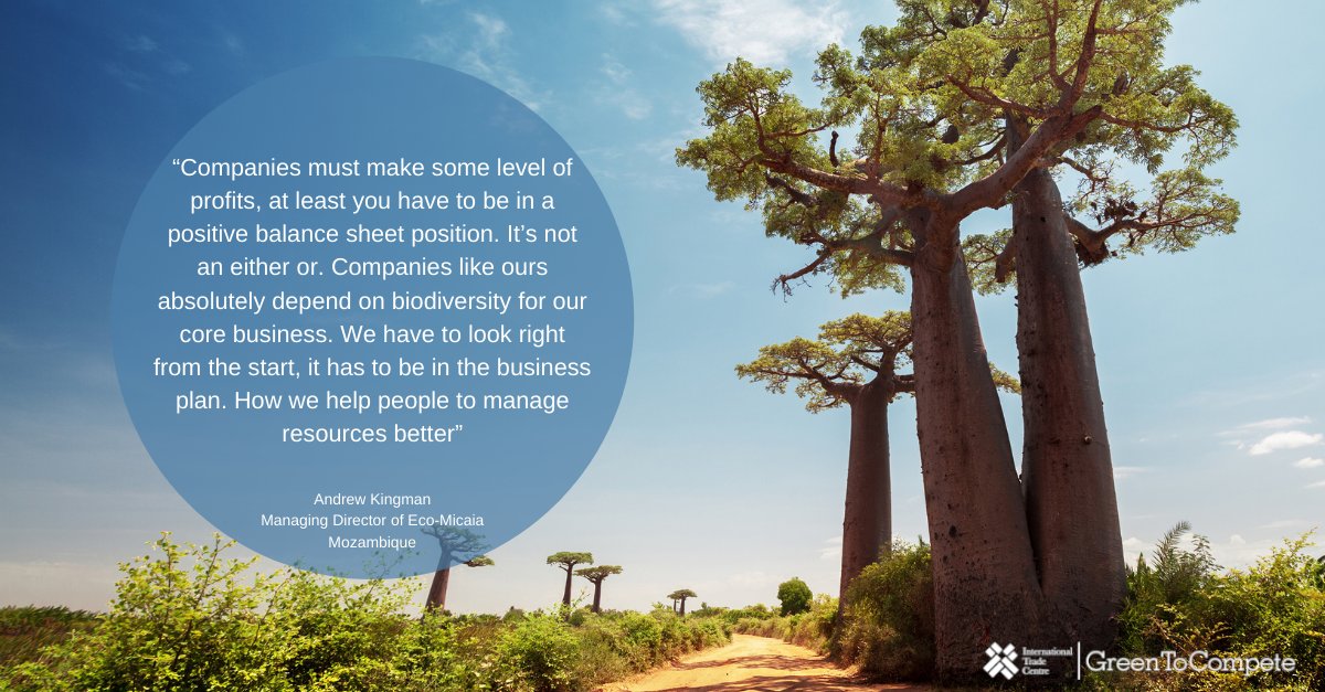 ITC_sustainable's tweet photo. How can a company make a good balance between making profit &fostering biodiversity?
We chatted with Andrew Kingman from Eco-Micaia, a social enterprise that produces biodiverse products in 🇲🇿
Got 20 min☕break?
Listen to our interesting conversation: https://t.co/cxGkBnJgZ4 https://t.co/5ZFXjR4gXv