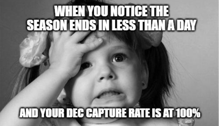 SplinterlandsHQ tweet media