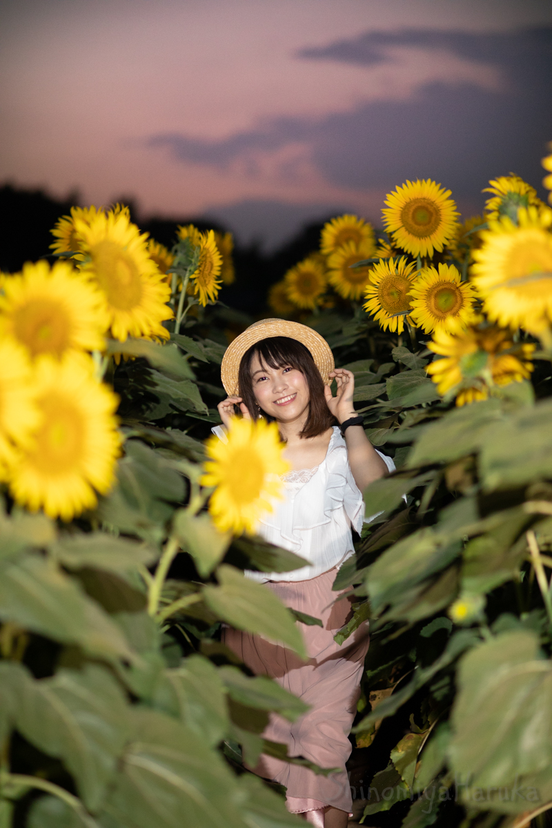 gon200625's tweet photo. #ひまわりの日 
#篠宮はるか(@snmy_haruka) https://t.co/gwkBBxqDgn