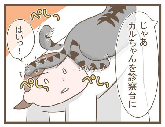 病院が苦手な猫のために"お馬さんごっこ" まさかの体勢で診察を受ける飼い主と笑いをこらえる獣医師の漫画が面白い https://t.co/iphh921sjT @itm_nlabより 