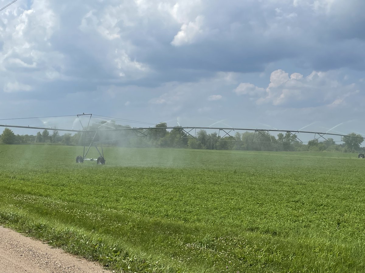 Crossing our fingers 🤞 for some rain today! While we are thankful to have irrigation on some of our crops, there are many fields and farmers that do not. #drought #weather #untiedts #locallygrown