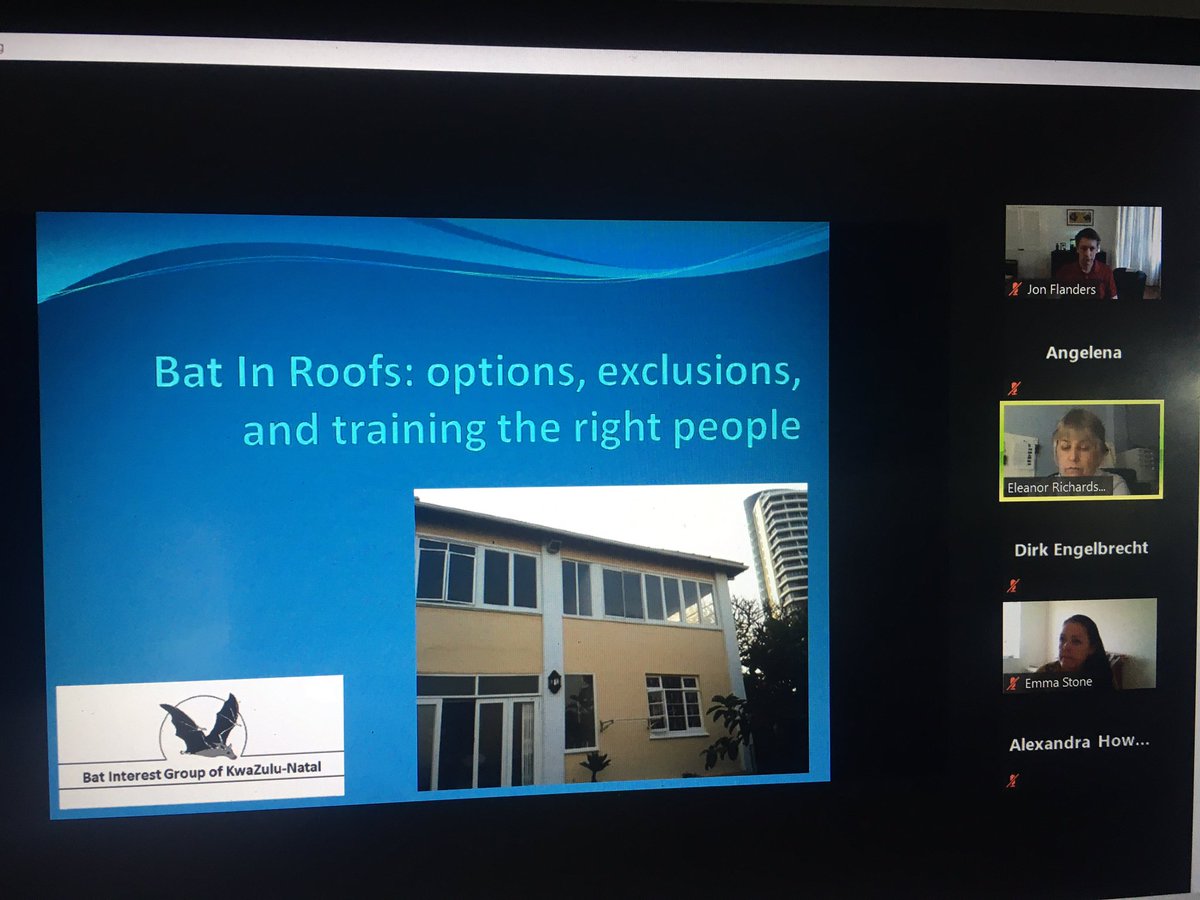 Up next Eleanor Richardson discussing bats in roofs and training pest control operators 

🦇🦇🦇🦇🦇🦇🦇🦇🦇🦇🦇

#ABCAWRN3 #AfricanBats #PestControl #BatResearch #BatWelfare #HumanBatConflict