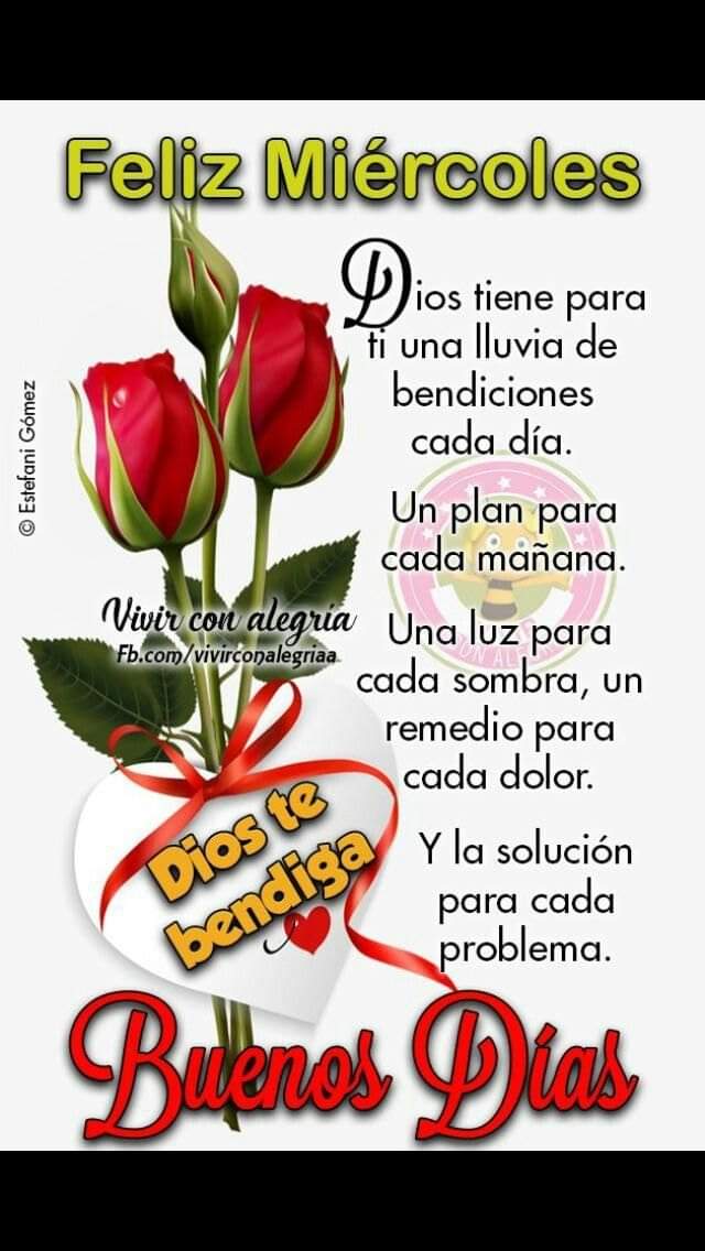 D'AlbaVic 🇲🇽🇲🇽🇲🇽 tweet media