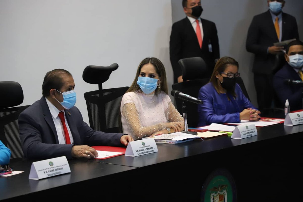 Comisión de la mujer, la Niñez, Juventud y la Familia 

Quedó instalada la Comisión de la Mujer, Niñez, Juventud y Familia, presidida por la diputada Zulay Rodríguez Lu y donde funge como Secretaria H.D. Alina González.
#HDAlinaGonzález #AsambleaNacional #Panamá