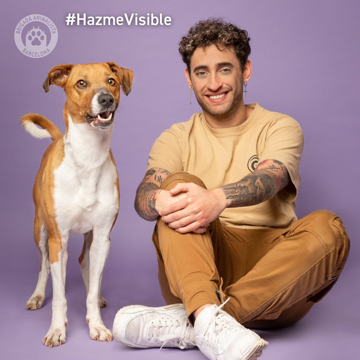 blonstark's tweet photo. Yo me uno a #HazmeVisible para ayudar a Draco. 

Con #HazmeVisible le damos difusión a los perros que no encuentran hogar y se han vuelto totalmente invisibles. 
Tenéis más información en el Instagram de @BrigadaBcn (Brigada_barcelona). A ver si le encontramos un hogar #adopta https://t.co/EhFRq2tE6r