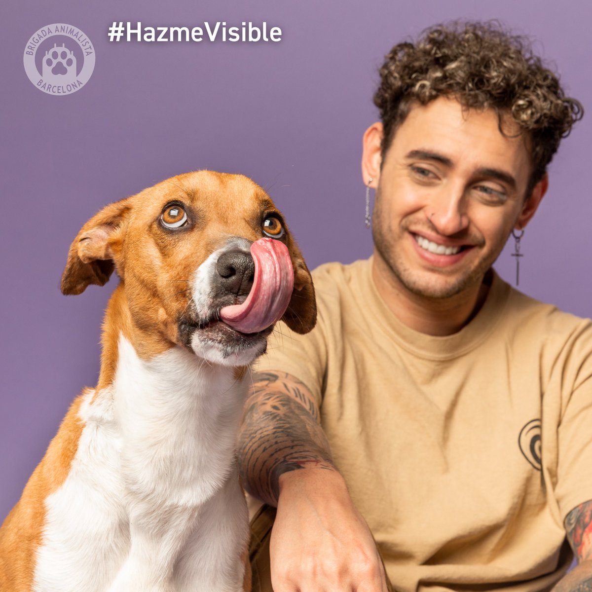 blonstark's tweet photo. Yo me uno a #HazmeVisible para ayudar a Draco. 

Con #HazmeVisible le damos difusión a los perros que no encuentran hogar y se han vuelto totalmente invisibles. 
Tenéis más información en el Instagram de @BrigadaBcn (Brigada_barcelona). A ver si le encontramos un hogar #adopta https://t.co/EhFRq2tE6r