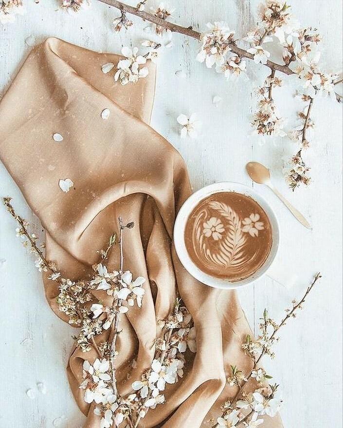 daretobechic's tweet photo. Put your hair up in a bun, drink some coffee, and handle it boo ☕️✨🤍

Save with code: TRENDY GIRL for your next order! 💖

~Be confident, be you, be chic✨
.
.
.
.
.
.
.
.
.
#summerfits #summeroutfits #summerfashion #summerfashion2021 #hotgirlsummer #brunchoutfit #vacayout… https://t.co/pRfFS30LWB