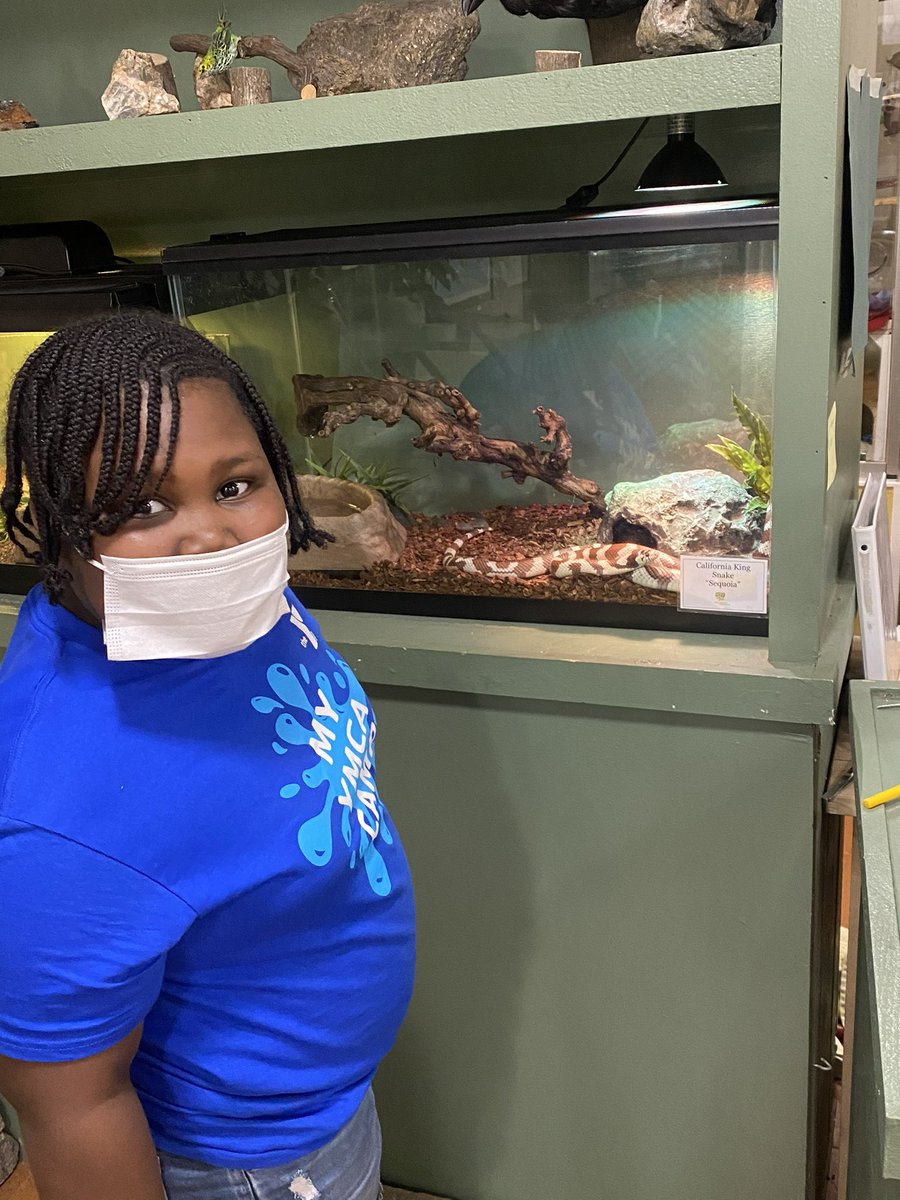 Stamford Family Ymca Stamfordymca Twitter