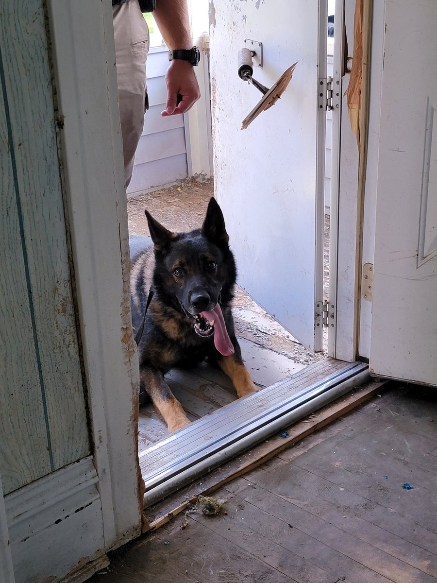 SgtHurst_DPD's tweet photo. #K9Riggs patiently waiting for his turn yesterday. #SWATdog
#TacticalResponseTeam https://t.co/3lgxvqeL8d